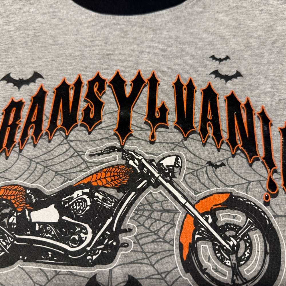 Transylvania Choppers/Motorcycle Gray Long Sleeve - Picture 4 of 5
